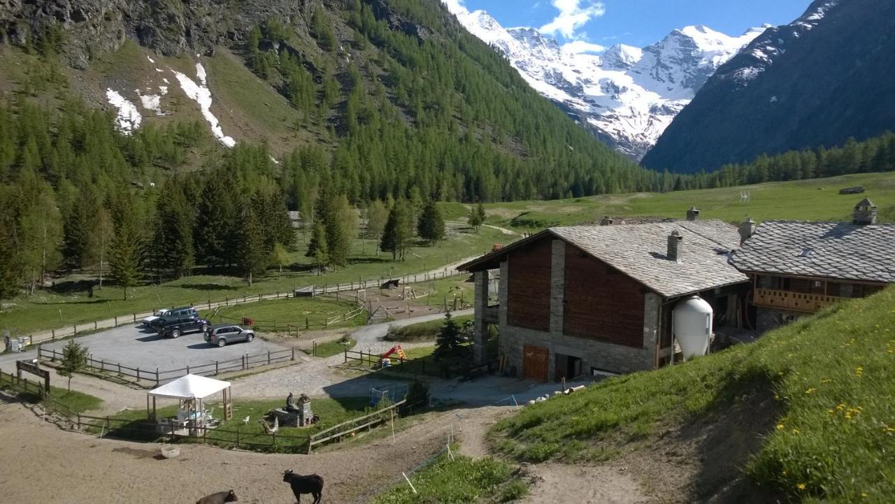 La Ferme Du Grand Paradis กอนเญ ภายนอก รูปภาพ